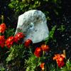 Raztech RockLite Outdoor Landscape LED Rock Lighting view 3