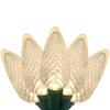 Wintergreen Lighting 25 C9 Warm White LED Christmas Lights, 17 Ft  Indoor Outdoor C9 String Lights, Classic White Christmas Lights view 2