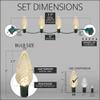 Wintergreen Lighting 25 C9 Warm White LED Christmas Lights, 17 Ft  Indoor Outdoor C9 String Lights, Classic White Christmas Lights view 4