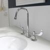 Speakman SC-3004-8-LD-E Commander Gooseneck 8 in. Widespread Lavatory Faucet, Polished Chrome view 2