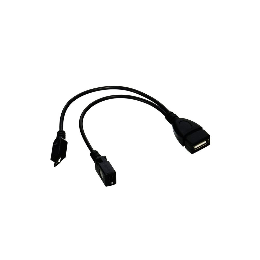 DSYJ Micro USB Host OTG Cable with Micro USB Power for Samsung S7 Edge, S6 Edge, S5, S4 & Nexus 10 9 7 4 Player + All Others 2 Pack