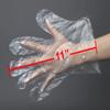 Daxwell Poly Gloves, Embossed, Large, Clear, F10003430 (Case of 5,000; 10 Boxes of 500) view 2