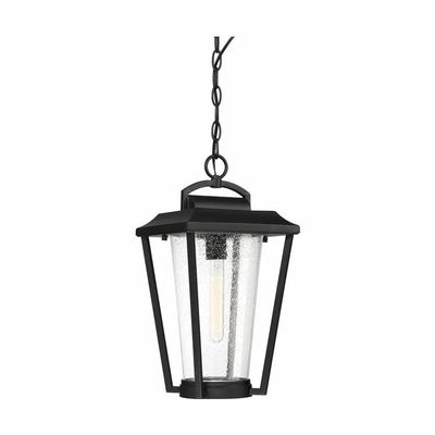 Nuvo 60/6514 Lakeview Lighting Fixture, 1Lt Hanging Lantern, Aged Bronze Finish with Clear Seed Glass