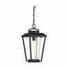 Nuvo 60/6514 Lakeview Lighting Fixture, 1Lt Hanging Lantern, Aged Bronze Finish with Clear Seed Glass view 1