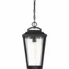 Nuvo 60/6514 Lakeview Lighting Fixture, 1Lt Hanging Lantern, Aged Bronze Finish with Clear Seed Glass view 3