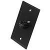 Seismic Audio SA-PLATE5 Black Stainless Steel Wall Plate with Single XLR Female Connector view 2