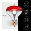 KOR 250W R40 Red Incandescent Heat Lamp Bulbs, E26 Medium Base, 2-Pack view 2