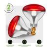 KOR 250W R40 Red Incandescent Heat Lamp Bulbs, E26 Medium Base, 2-Pack view 3