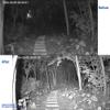 JCHENG SECURITY JC 210ft Infrared Illuminator, 20 LEDs 90 Degree Wide Angle IR Illuminator for Night Vision,Waterproof LED Infrared Flood Light Black view 4