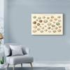 Trademark Fine Art Song Bird Egg Chart v2 by Wild Apple Portfolio, 30x47-Inch view 3