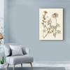 Trademark Fine Art Sepia Nature Study Iv by Vision Studio, 24x32-Inch view 3