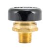 Eastman 1/2 Inch MIP Vacuum Relief Valve, Brass Plumbing Fittings, 60156 view 1