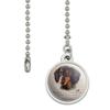 GRAPHICS & MORE Black and Tan Dachshund Wiener Dog Breed Ceiling Fan and Light Pull Chain view 2
