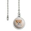 GRAPHICS & MORE Chihuahua Dog Breed Ceiling Fan and Light Pull Chain view 2