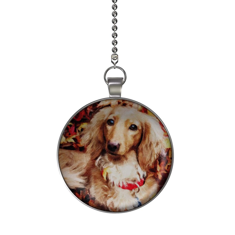 Gotham Decor Autumn Dachshund Ceiling Fan/Light Pull Pendant with Chain