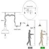 ANYE Glass Metal Pendant Lighting European Chandelier Outdoor Balcony Garden Fixtures Retro Style Decor for Corridor Garden with 15ft UL IP65 Waterproof Plug-in Button Cord Bulb Not Included view 3