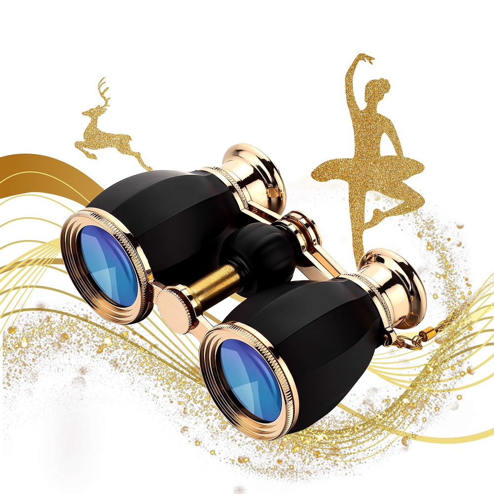 ESSLNB Opera Glasses Binoculars for Women Adults 4X30mm Theater Glasses Compact for Theater and Concerts Antique Binoculars with Case Removable Chain (Black)