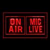 140131 On Air Mic Live Studio Media Audio Room Decor Display LED Light Neon Sign (12" X 8", Red) view 3