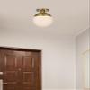 Living District Eclipse 1 Light Black Flush Mount with Frosted White Glass view 2