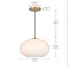 Elegant Lighting Living District Baxter 1-Light Metal Pendant in Chrome and Frosted White Finish view 3