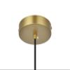 Elegant Lighting Living District Baxter 1-Light Metal Pendant - Black & Clear Finish view 3