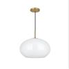 Elegant Lighting Living District Baxter 1-Light Metal Pendant in Chrome and White view 4