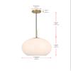 Living District Baxter 1-Light Metal Pendant in Brass and White Finish view 3