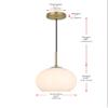 Elegant Lighting Living District Baxter 1-Light Metal Pendant - Black and Frosted White Finish view 3