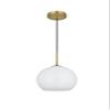 Elegant Lighting Living District Baxter 1-Light Metal Pendant - Black and Frosted White Finish view 4