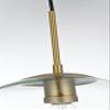 Living District Indoor Modern Home Decorative Bright Ceiling Baxter 1 Light Chrome Pendant with Clear Glass view 4
