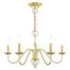 Livex Lighting 5-Light Chandelier, Polished Brass view 1