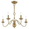 Livex Lighting 5-Light Chandelier, Polished Brass view 4
