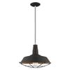 Livex Lighting 41184-04 Metal - 1-Light Mini Pendant, Black view 1
