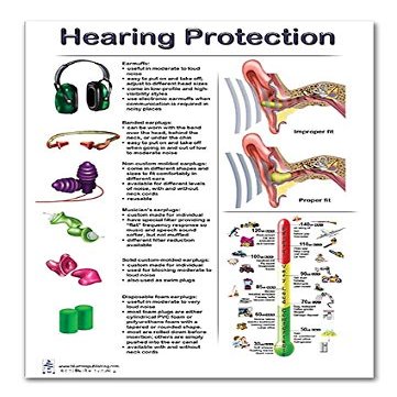 Blue Tree Publishing Hearing Protection Education Double Side Laminated Chart, Ear Dry Erase Clipboard, A4 Size, 12 * 17inch, 24 * 36inch chart (12 * 17inch, Glossy film)