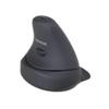 Ergoguys Ergonomic Rockstick 2 Meduim Mouse Wireless KOV-RS200WM, Black view 1
