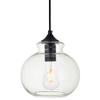 Living District Destry 1-Light Metal Pendant in Black & Clear Finish view 1