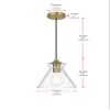 Elegant Lighting Living District Destry 1-Light Metal Pendant in Brass/Clear Finish view 3