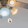 Asian Dragon King Fan/Light Pull view 2
