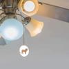 Gotham Decor African Lion Pattern Fan/Light Pull view 2