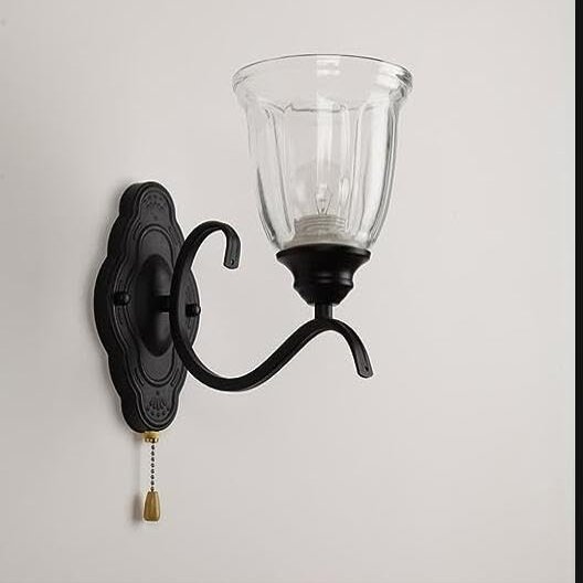 ZJZTD Pull Chain Wall Lamp E27 Retro Bedroom Bedside Iron and Glass Shade Wall Sconces, Black Finish