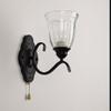 ZJZTD Pull Chain Wall Lamp E27 Retro Bedroom Bedside Iron and Glass Shade Wall Sconces, Black Finish view 1