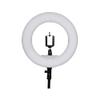 LED Ring Light Table Top Mini LED Ring Light Lighting Kit Includes12 inch Outer 38W 5500K Ring Light, Mirror, Desktop Support Stand Beauty Blog Make up Selfie Studio Portrait Video Photography view 2
