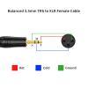 CableCreation 1/8 inch 3.5mm to XLR Cable,Balanced XLR Female to 3.5mm Male Jack Stereo Microphone, 3Pin X LR to TRS Mic Cord, Aux to X LR Compatible for iPod,Laptop,Recorder,Amplifier,Speaker,3FT view 2