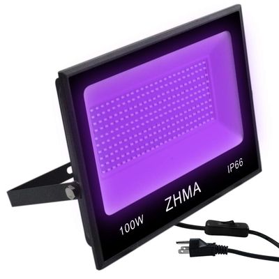 100W Black Lights Flood Light,Blacklight with Plug and Switch for Glow Party Large Space,IP66 Waterproof LED Black Lights for Fluorescent Poster,Halloween,Body Paint,Wedding.1 Pack