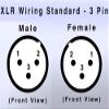 CARDAS AUDIO Clear Female XLR to Male RCA Adapters (CGA FXLR-MRCA) - 2 Pieces (1 Pair) view 2