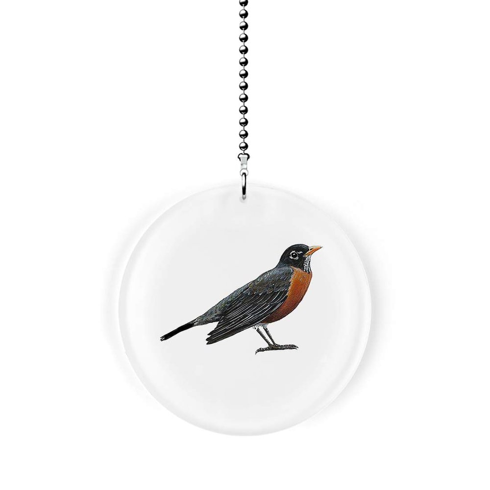 Gotham Decor American Robin Redbreast Bird Fan/Light Pull