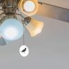 Gotham Decor American Robin Redbreast Bird Fan/Light Pull view 2