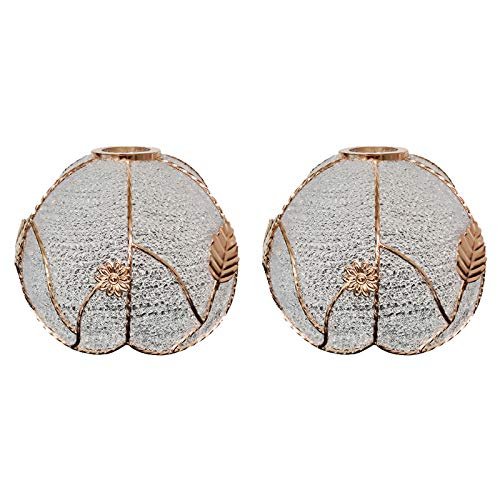 ANYE 2-Pack Crystal Glass Globe Lamp Shades Fixture Replacement Shades for Floor Lamps and Other Compatible Lamps