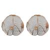ANYE 2-Pack Crystal Glass Globe Lamp Shades Fixture Replacement Shades for Floor Lamps and Other Compatible Lamps view 1