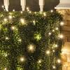 Wintergreen Lighting 100 5mm Warm White Twinkle LED Net Lights, 4 x 6 ft Green Wire Indoor/Outdoor Commercial Grade Outdoor Christmas Decorations for Hedges & Bushes view 2